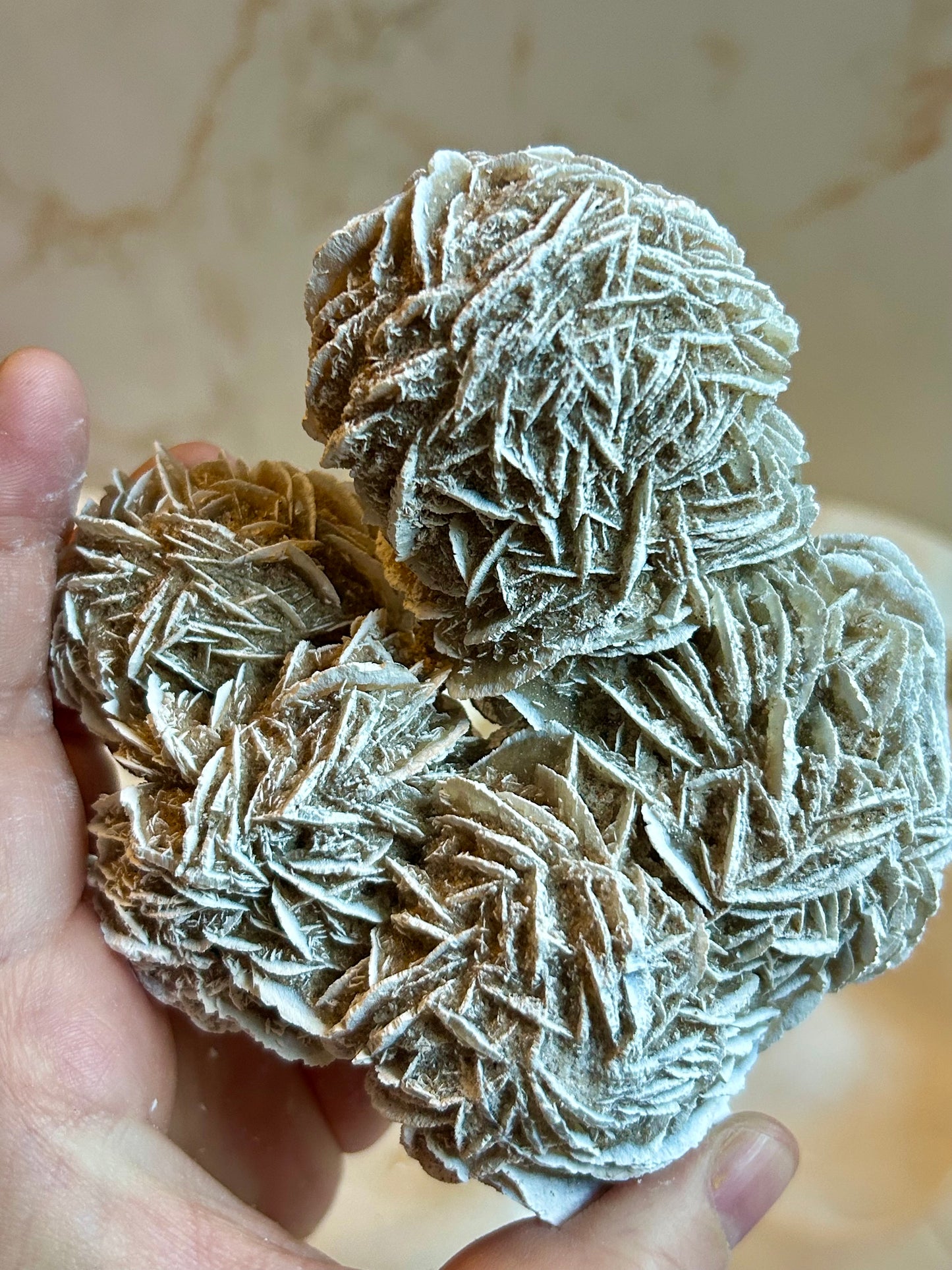Desert Rose Crystal (Gypsum Rosette) – Natural Grounding & Clarity Stone