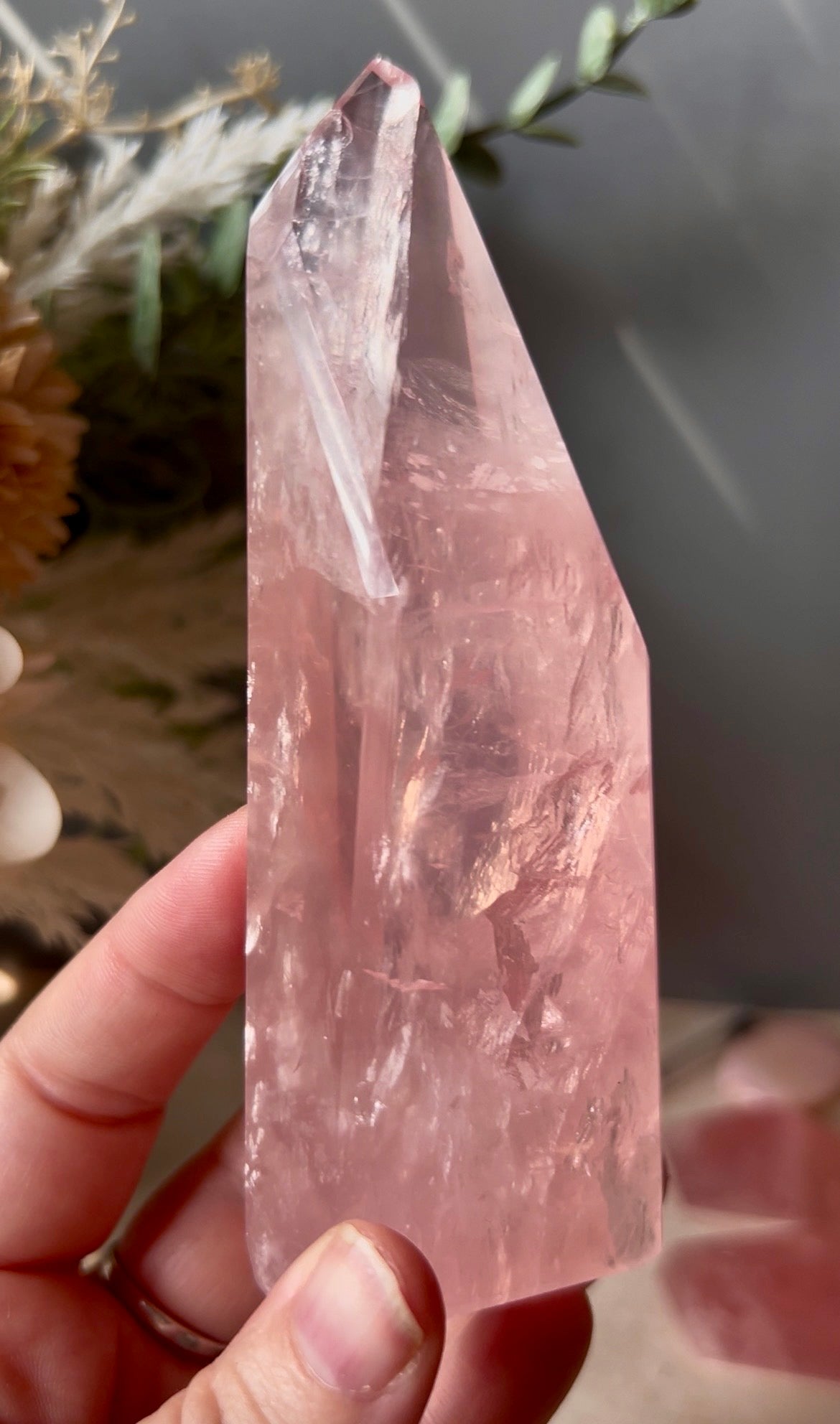 Listing for claybylittlej