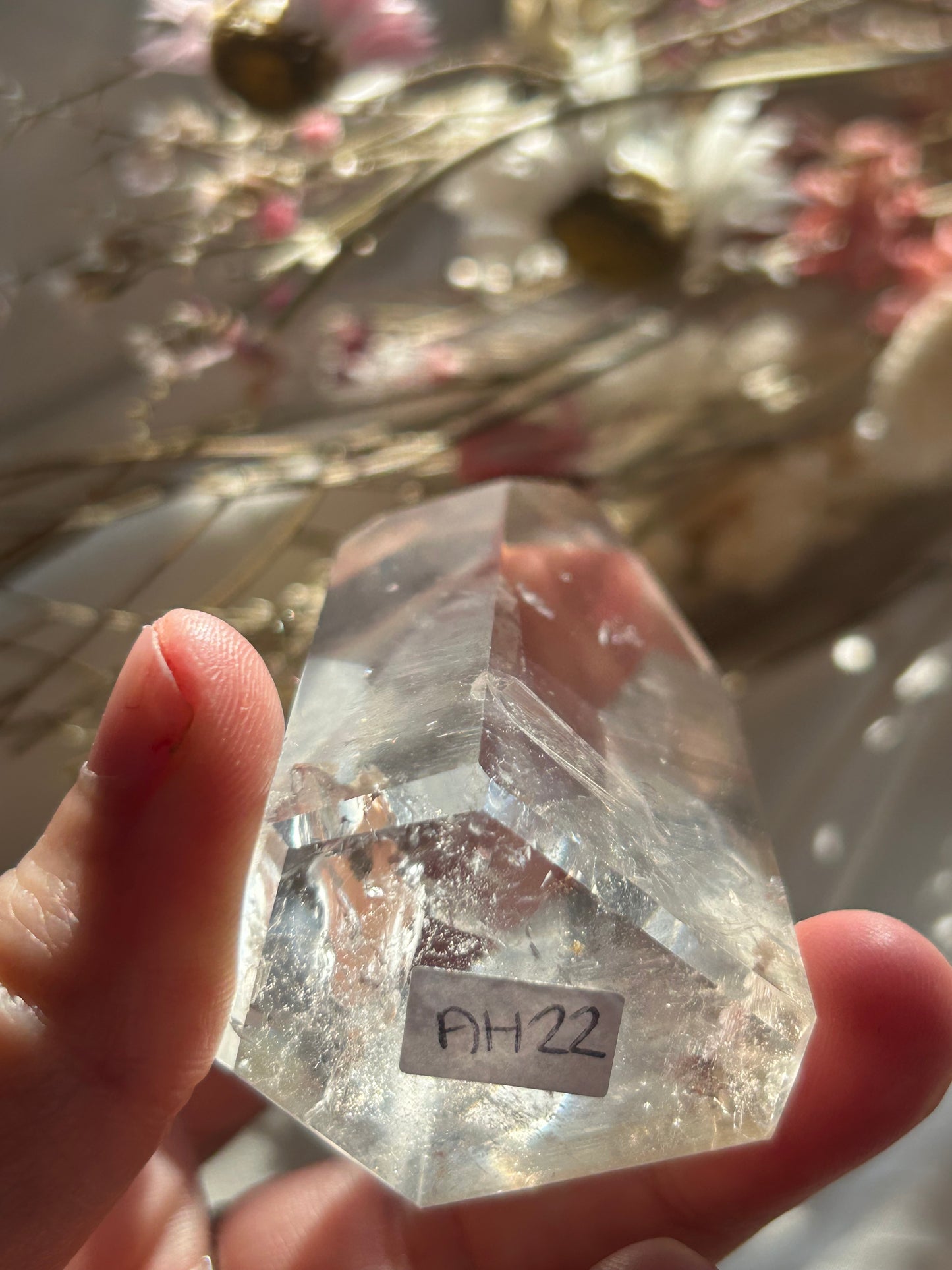 Semi Polished Lemurian