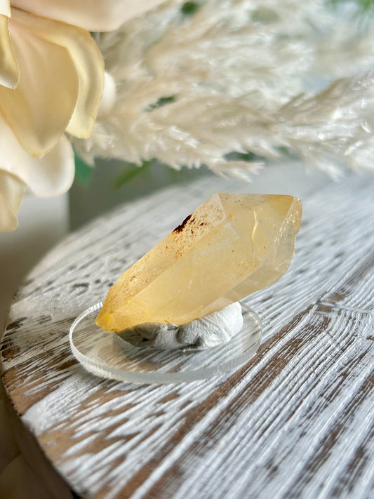 Mini Swiss Quartz crystal point with soft champagne clarity, natural termination and self-healed base, displayed on glass stand with neutral dried florals background.