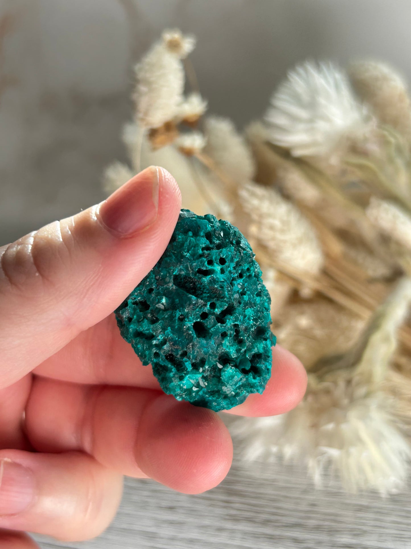 Dioptase Crystal | Rare Emerald Green Healing Stone