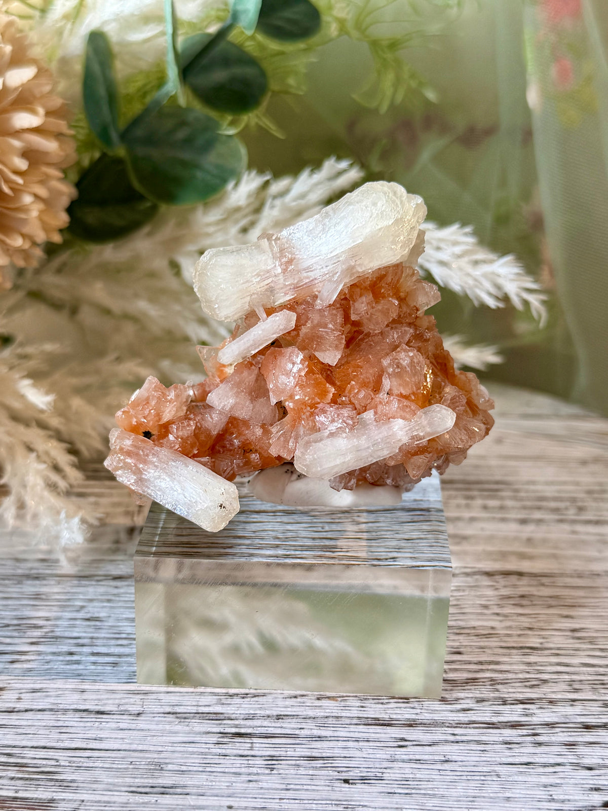 Natural Chalcedony with Stellerite and Heulandite featuring intricate zeolite crystal formations and unique mineral growth.