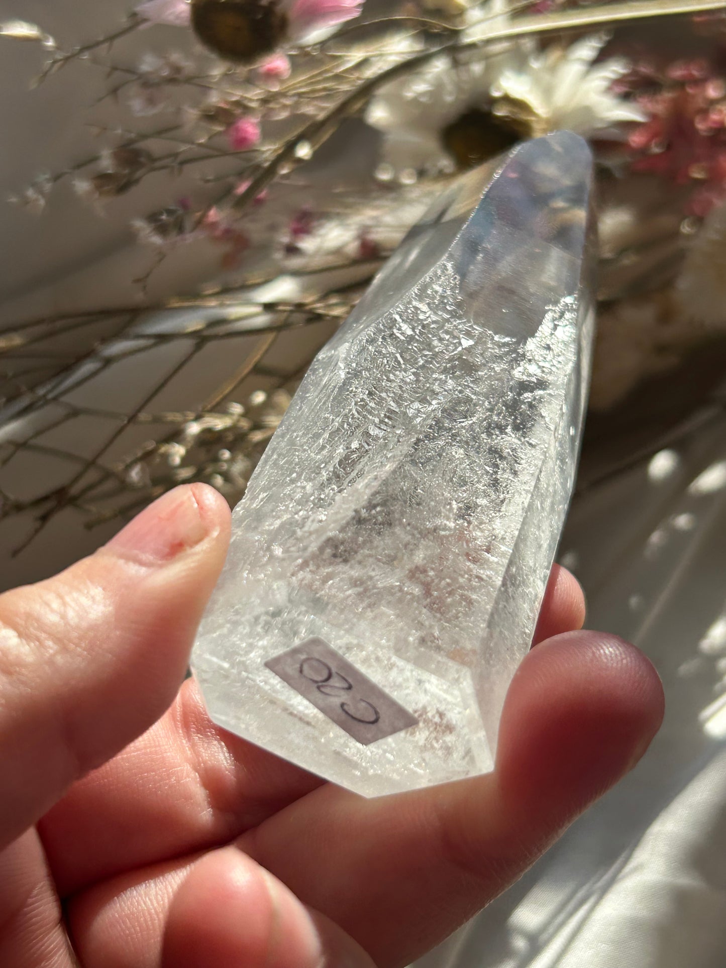 Semi Polished Lemurian