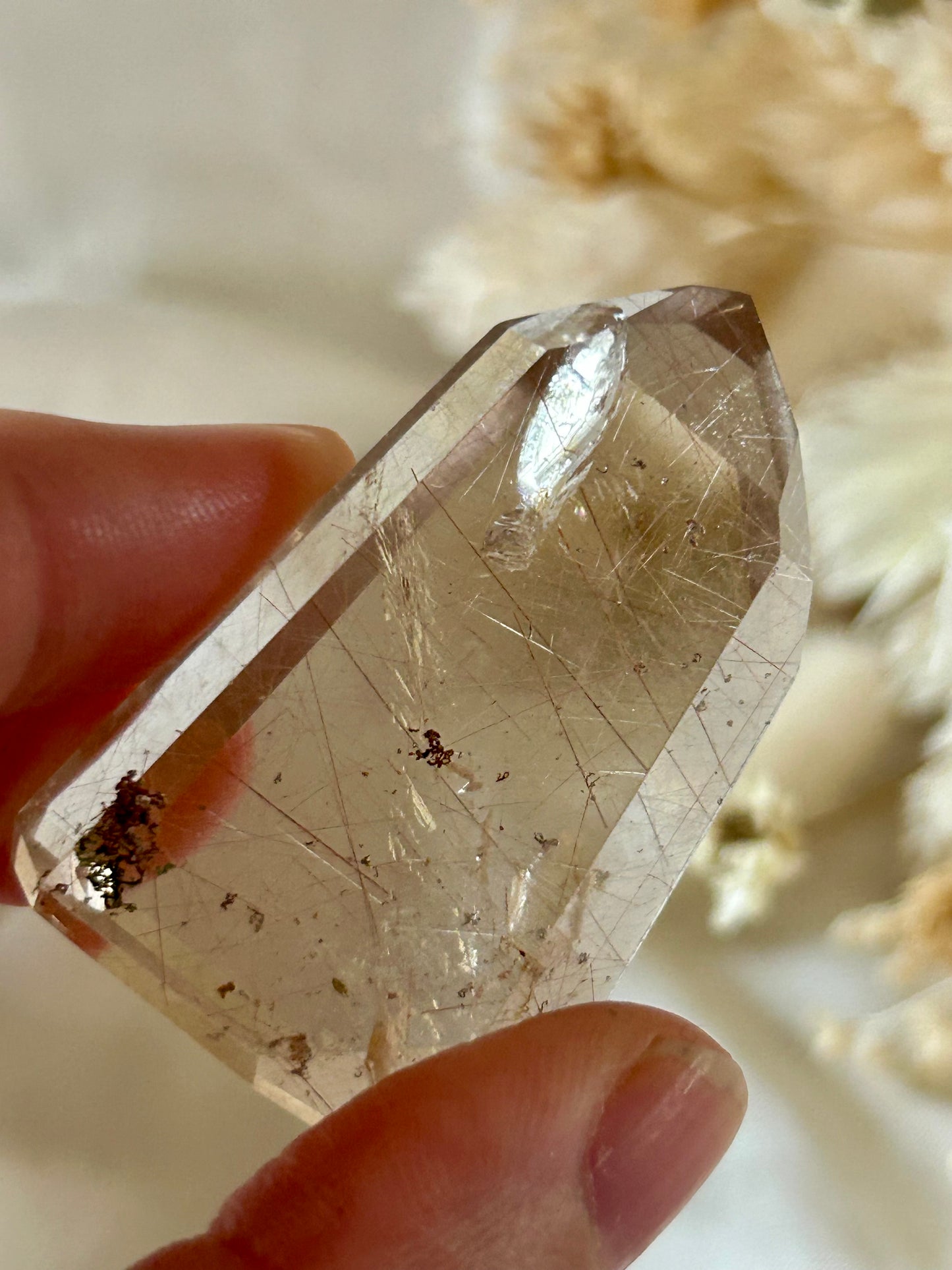 Golden Rutile in AAA Quartz – High-Grade Clarity & Radiant Energy