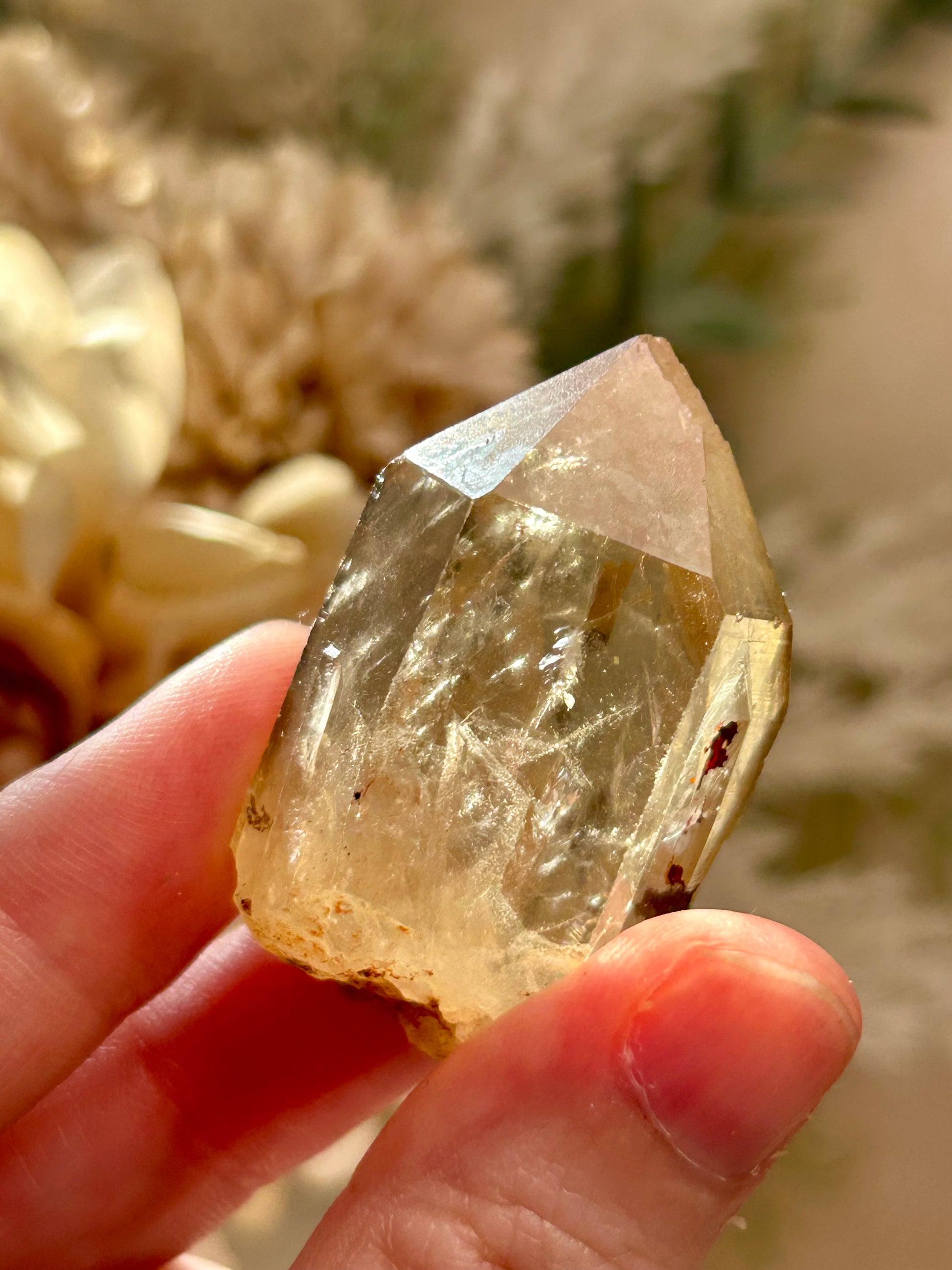 Kundalini Citrine crystal from the Democratic Republic of Congo displaying golden honey tones and unique crystal formations. Individual Citrine specimen suitable for crystal collectors and enthusiasts.