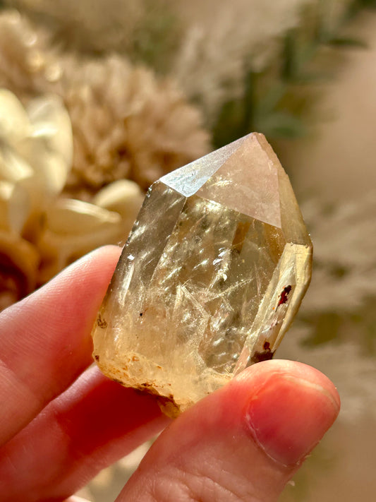 Kundalini Citrine crystal from the Democratic Republic of Congo displaying golden honey tones and unique crystal formations. Individual Citrine specimen suitable for crystal collectors and enthusiasts.
