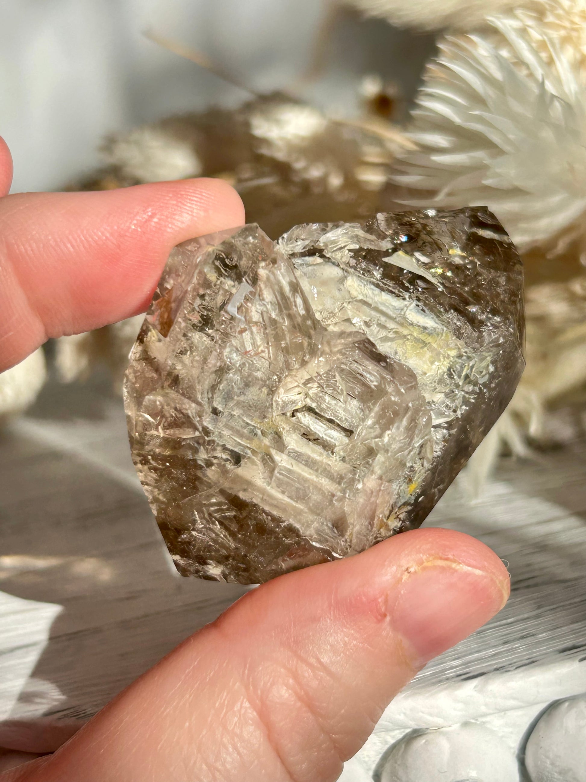 Golden Elestial Quartz crystal tower with visible layered terminations and internal inclusions, polished to a high shine. Photographed in warm natural light with soft cream dried florals in the background.
