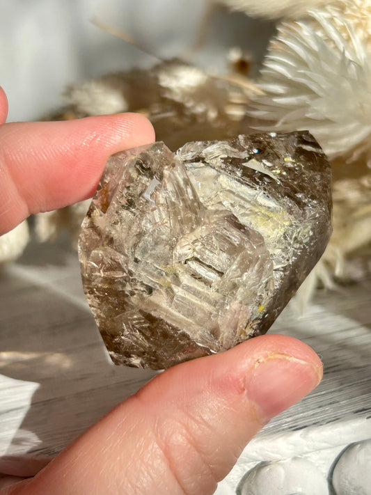 Golden Elestial Quartz crystal tower with visible layered terminations and internal inclusions, polished to a high shine. Photographed in warm natural light with soft cream dried florals in the background.