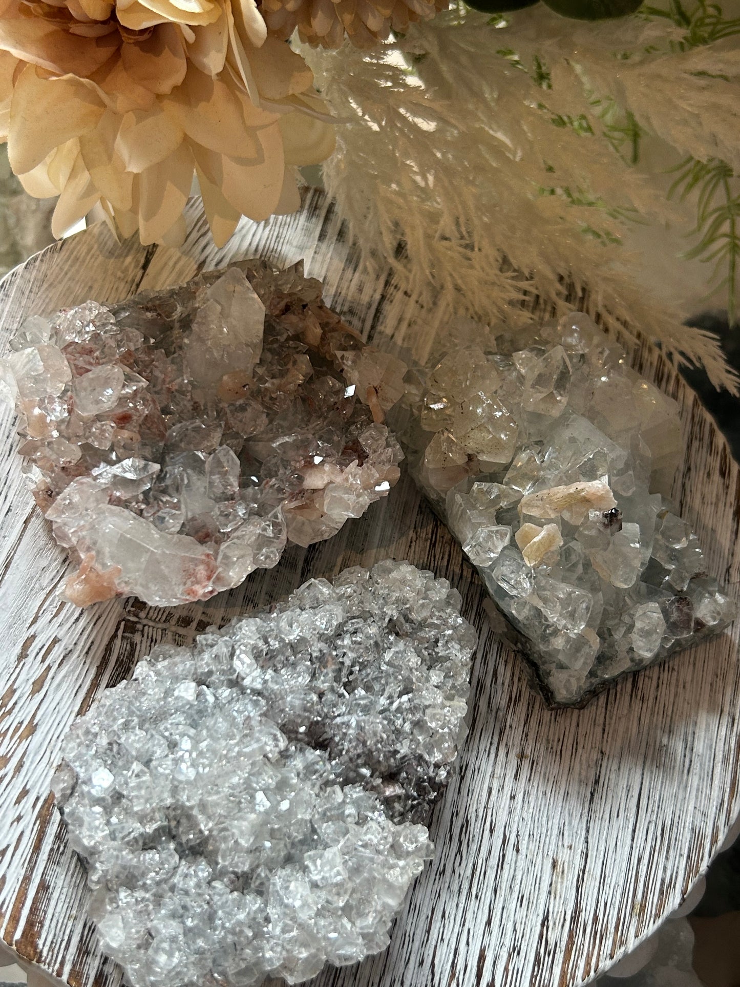 Listing for iranaalessandra