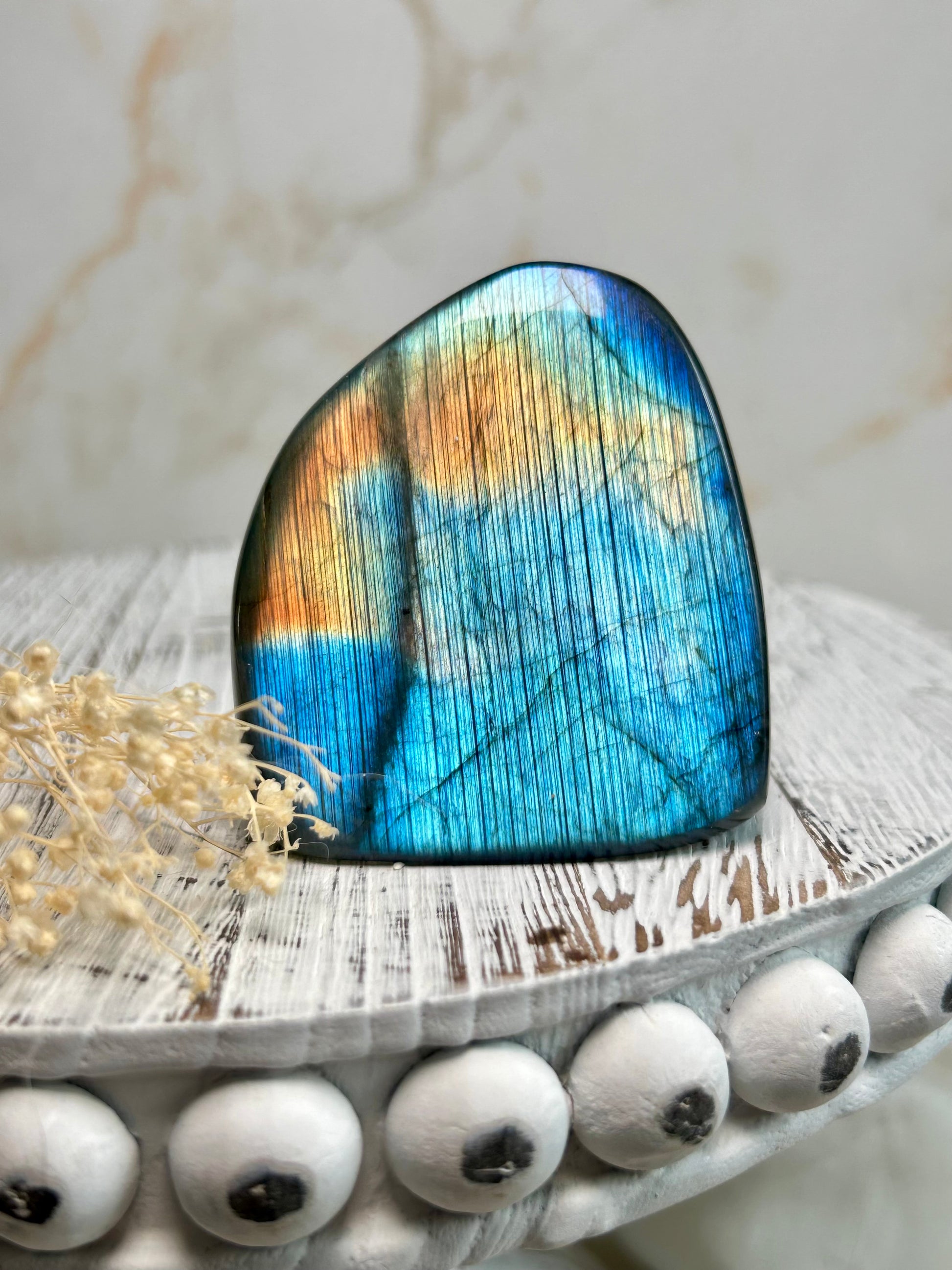 Polished labradorite freeform with vivid blue flash and iridescent surface on a distressed white wooden board with dried cream flowers