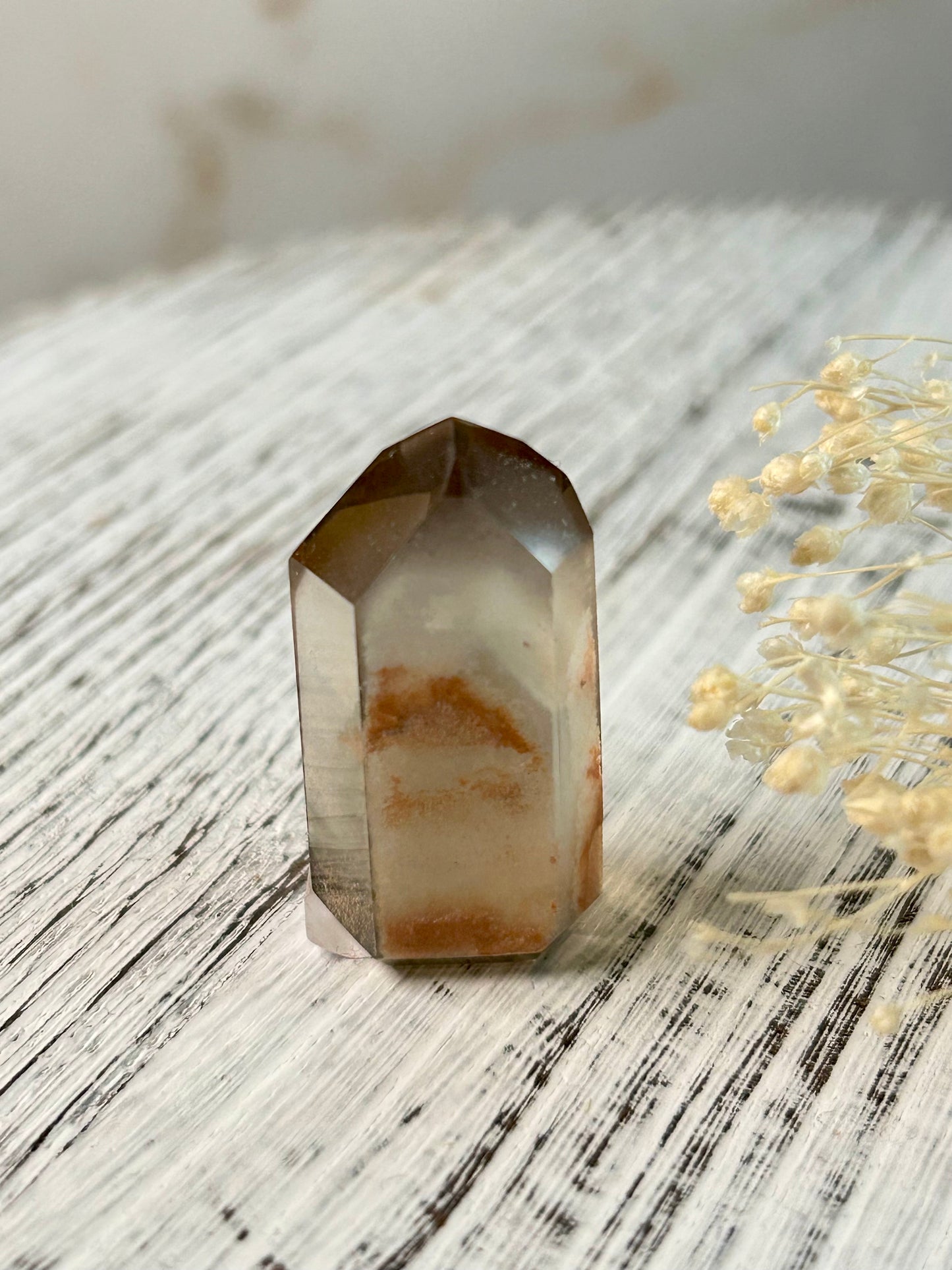 Phantom Lodolite Crystal | Garden Quartz with Inner Worlds