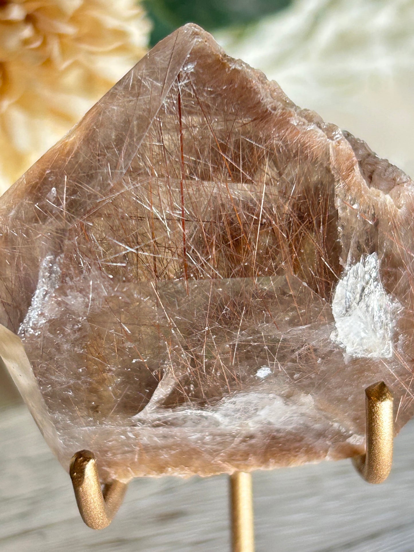 Rutilated Quartz Statement Piece on Stand | Natural Golden Rutile Inclusions | One of a Kind Display Crystal