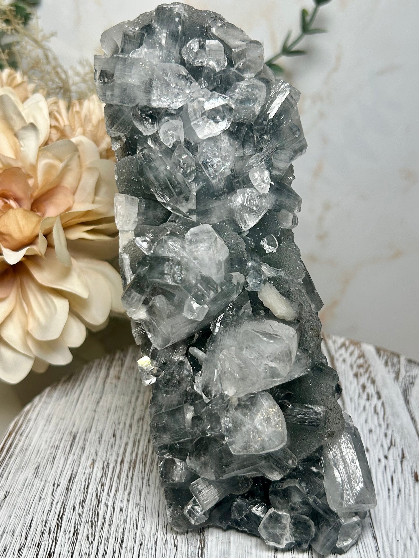 Self-standing apophyllite crystal cluster on shimmering grey chalcedony matrix from India