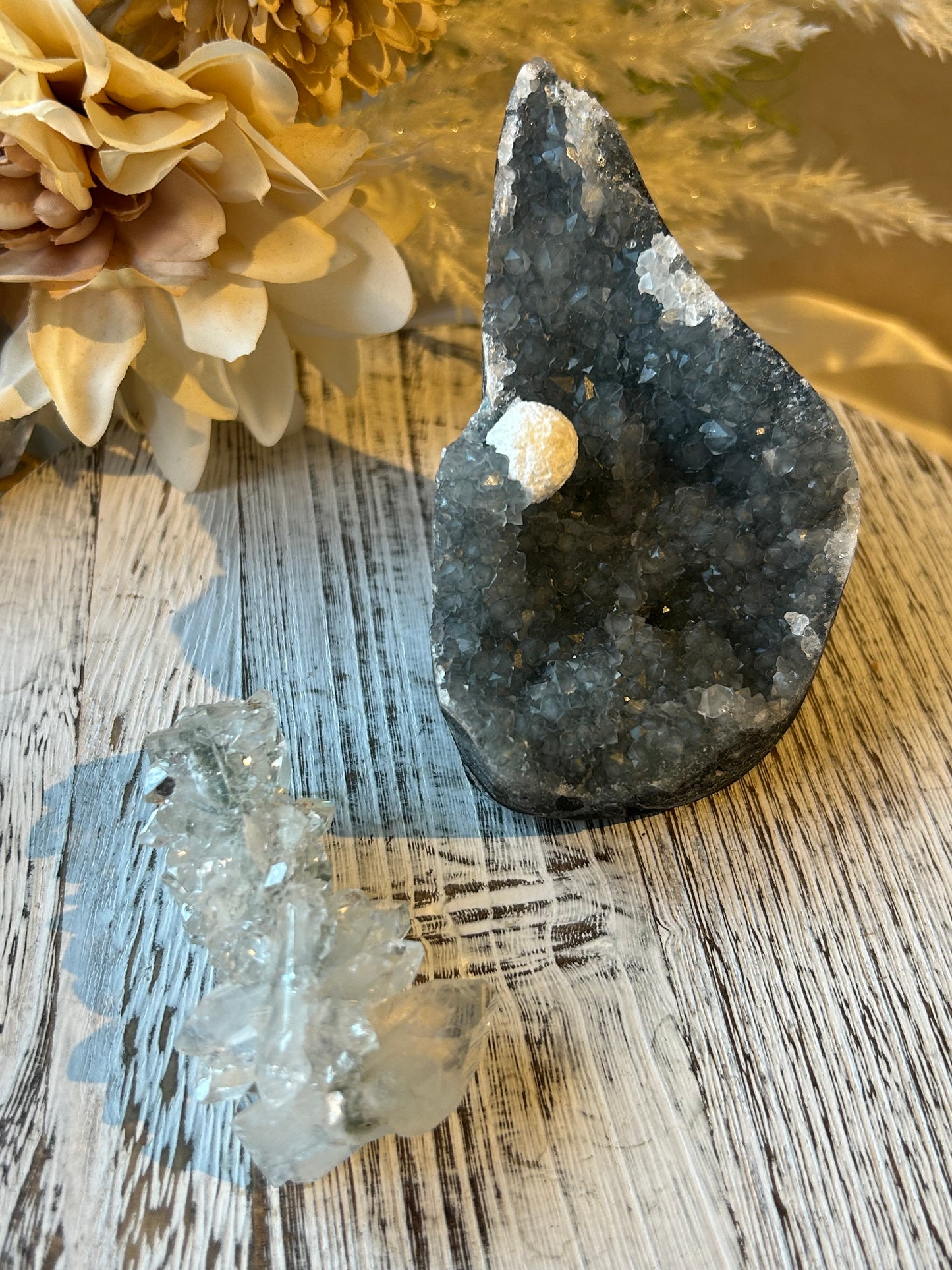 Listing for mamzelleseverine