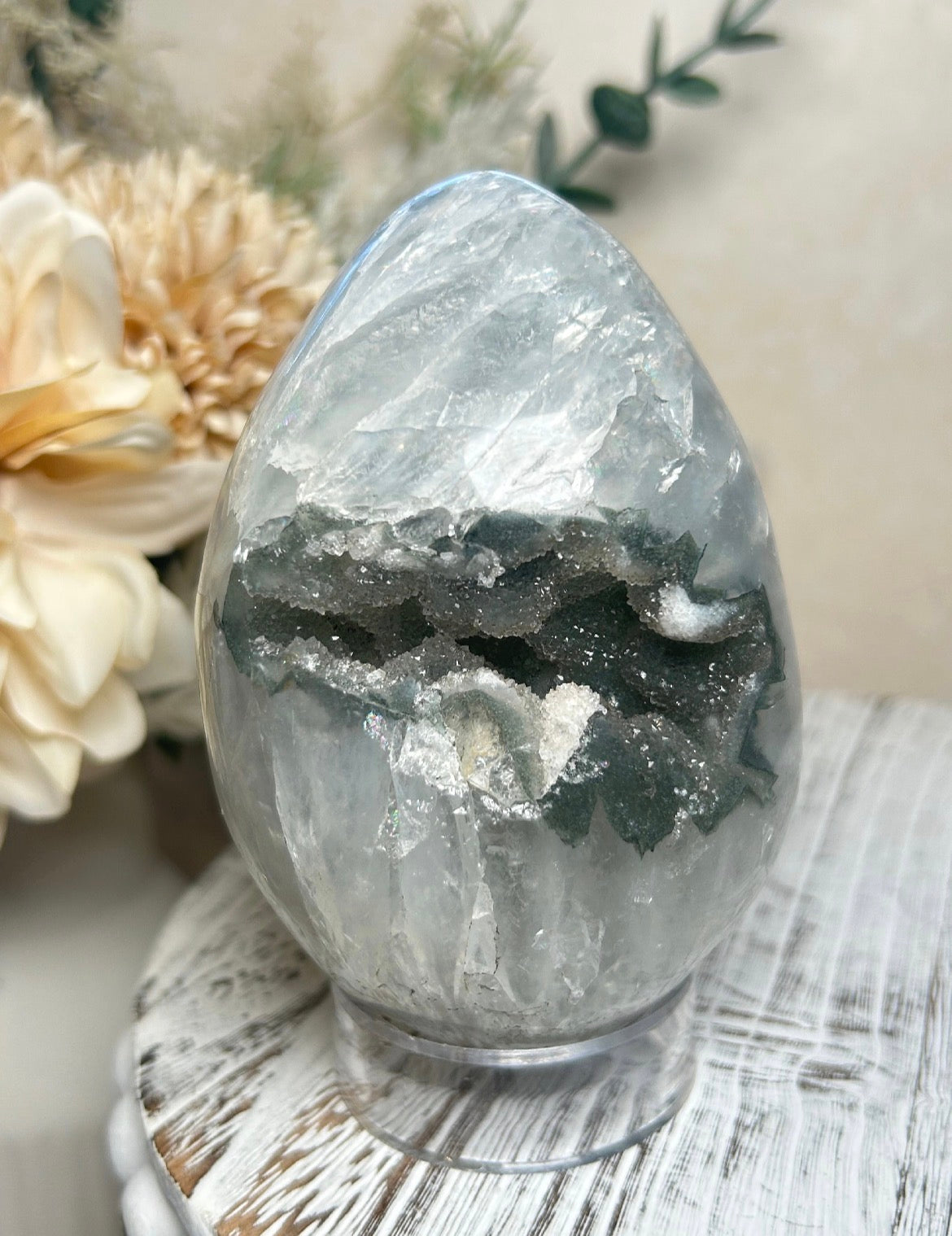 Listing for tammysdolphincrystalpalace23