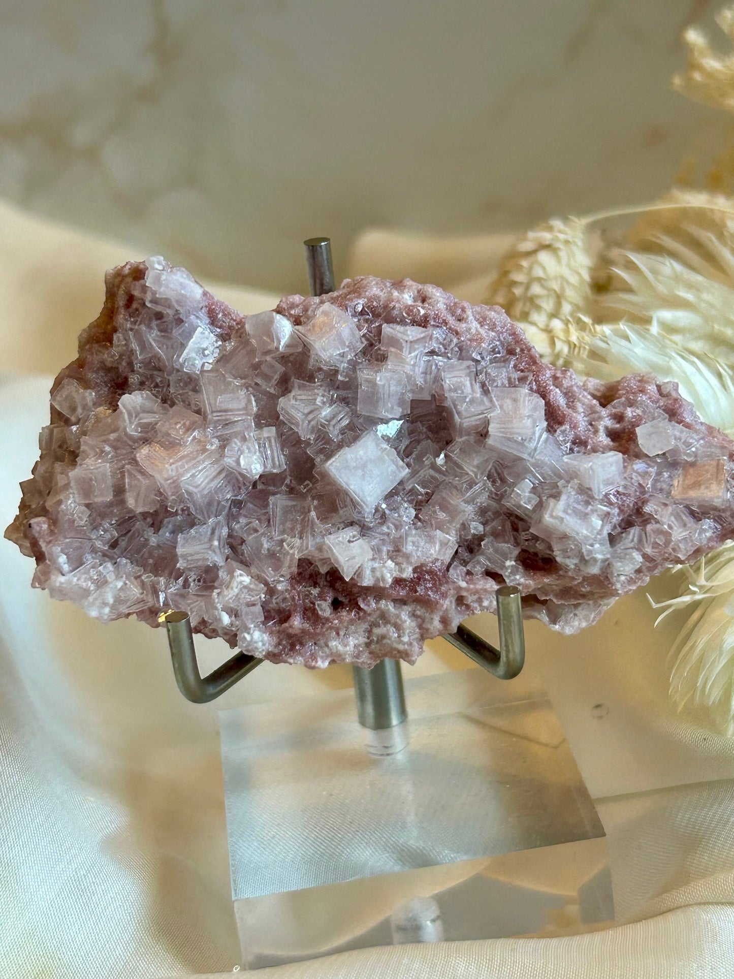 Natural Pink Halite crystal specimen with soft pink tones and delicate mineral formation