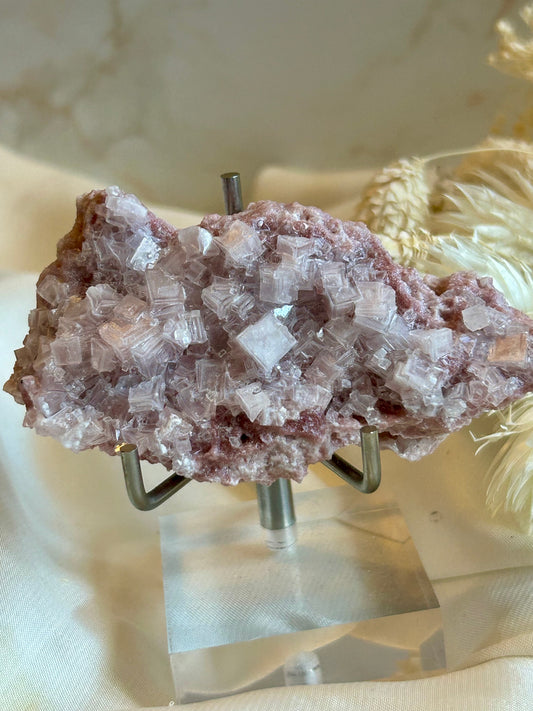Natural Pink Halite crystal specimen with soft pink tones and delicate mineral formation