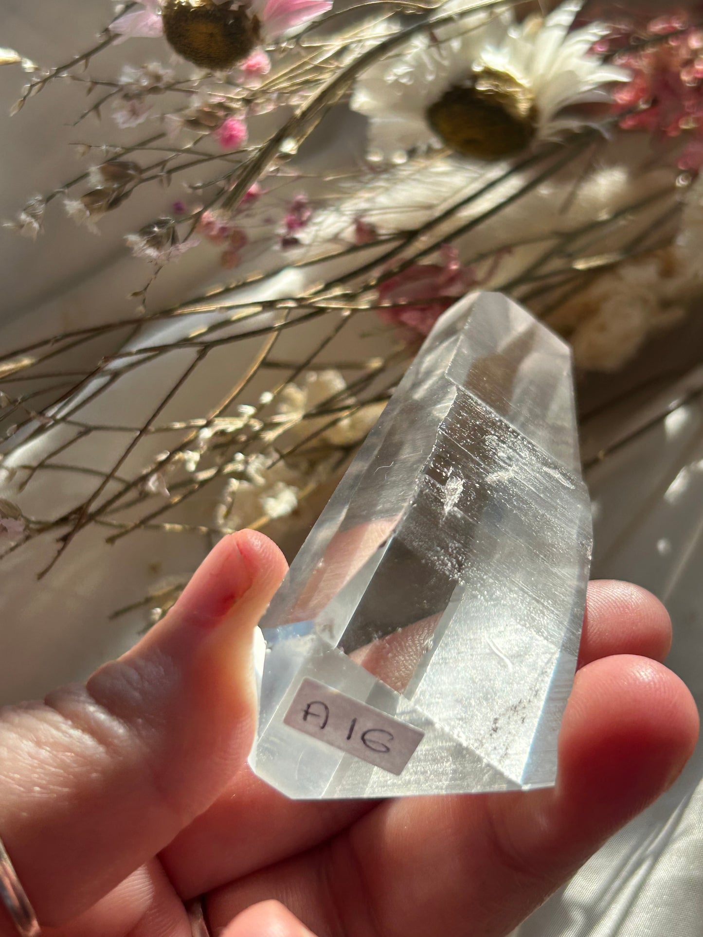 Semi Polished Lemurian