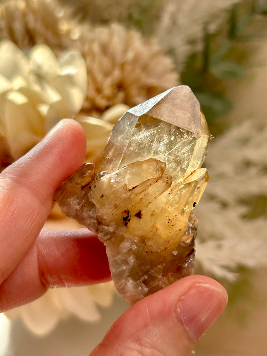 Kundalini Citrine crystal from the Democratic Republic of Congo displaying golden honey tones and unique crystal formations. Individual Citrine specimen suitable for crystal collectors and enthusiasts.
