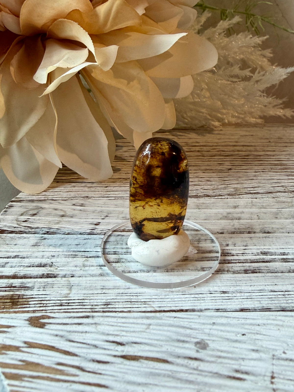 Natural Chiapas Amber cabochon from Mexico with warm golden tones and polished finish.