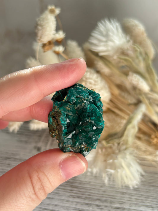 Rare dioptase mineral specimen for collectors and crystal healing