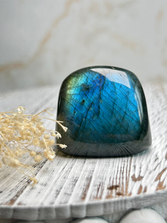 Polished labradorite freeform with vivid blue flash and iridescent surface on a distressed white wooden board with dried cream flowers