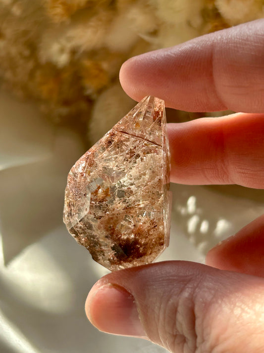 Lodolite and Rutile freeform