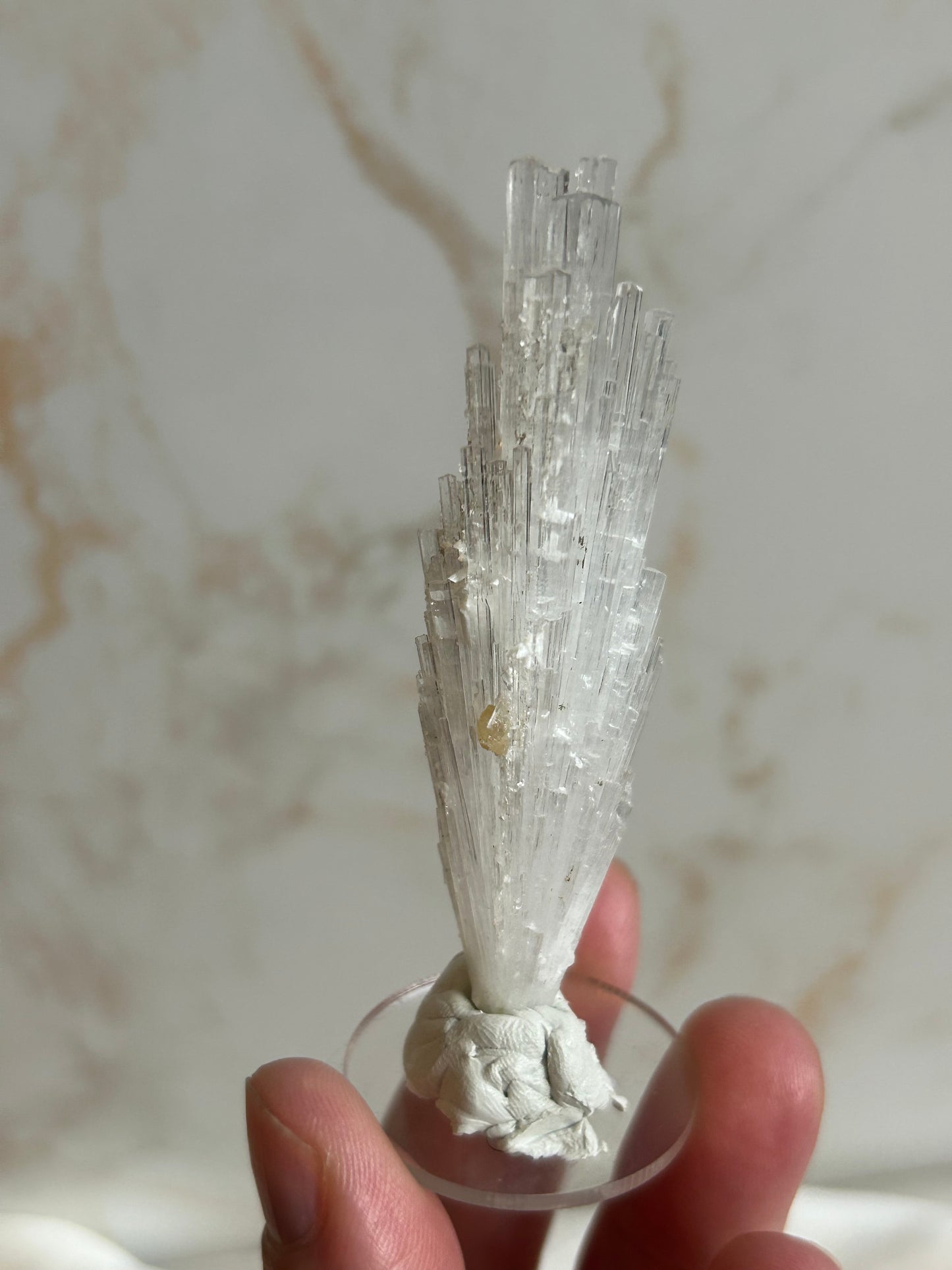 Listing Giuseppe_lupo85