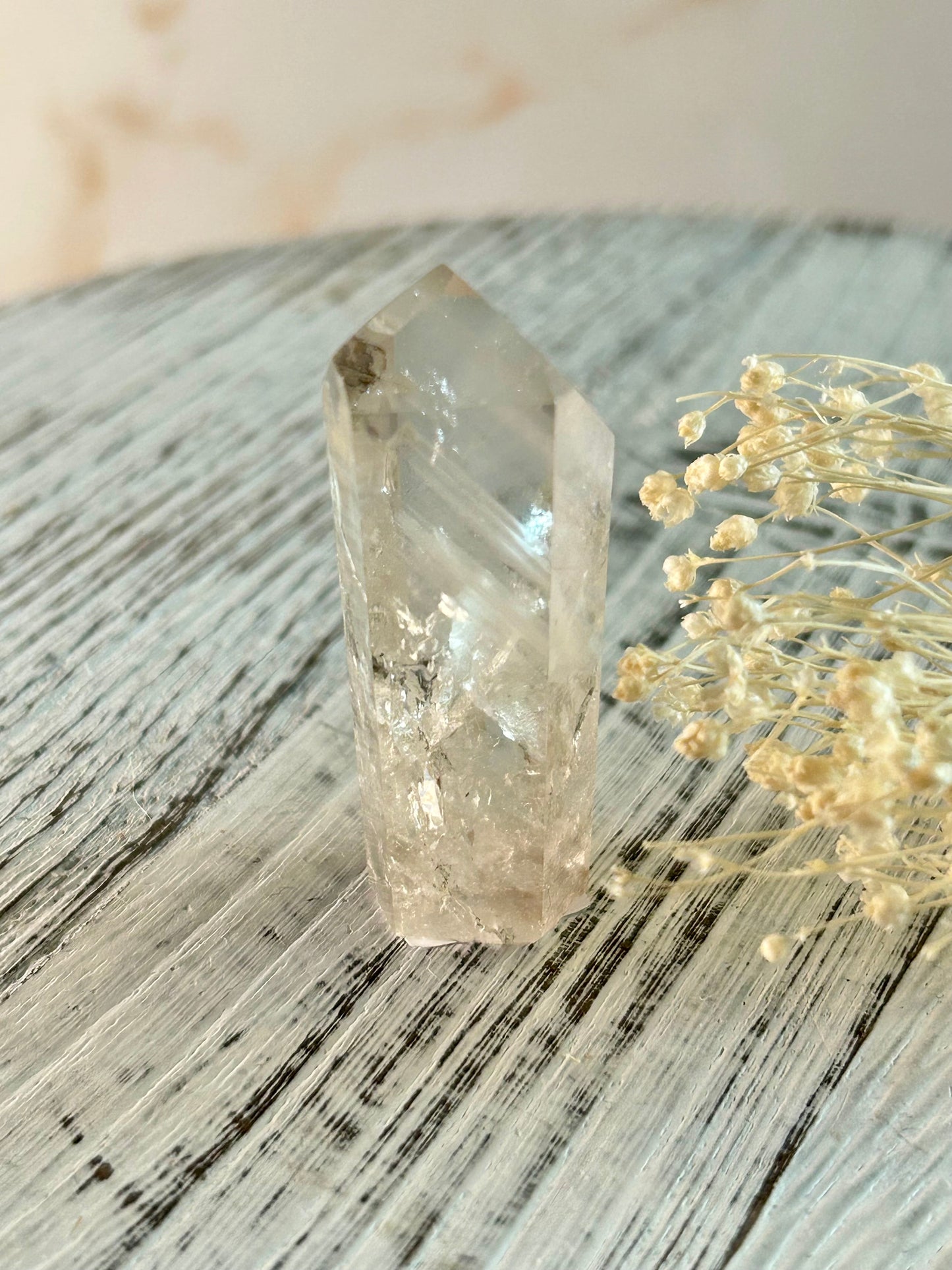 Phantom Lodolite Crystal | Garden Quartz with Inner Worlds