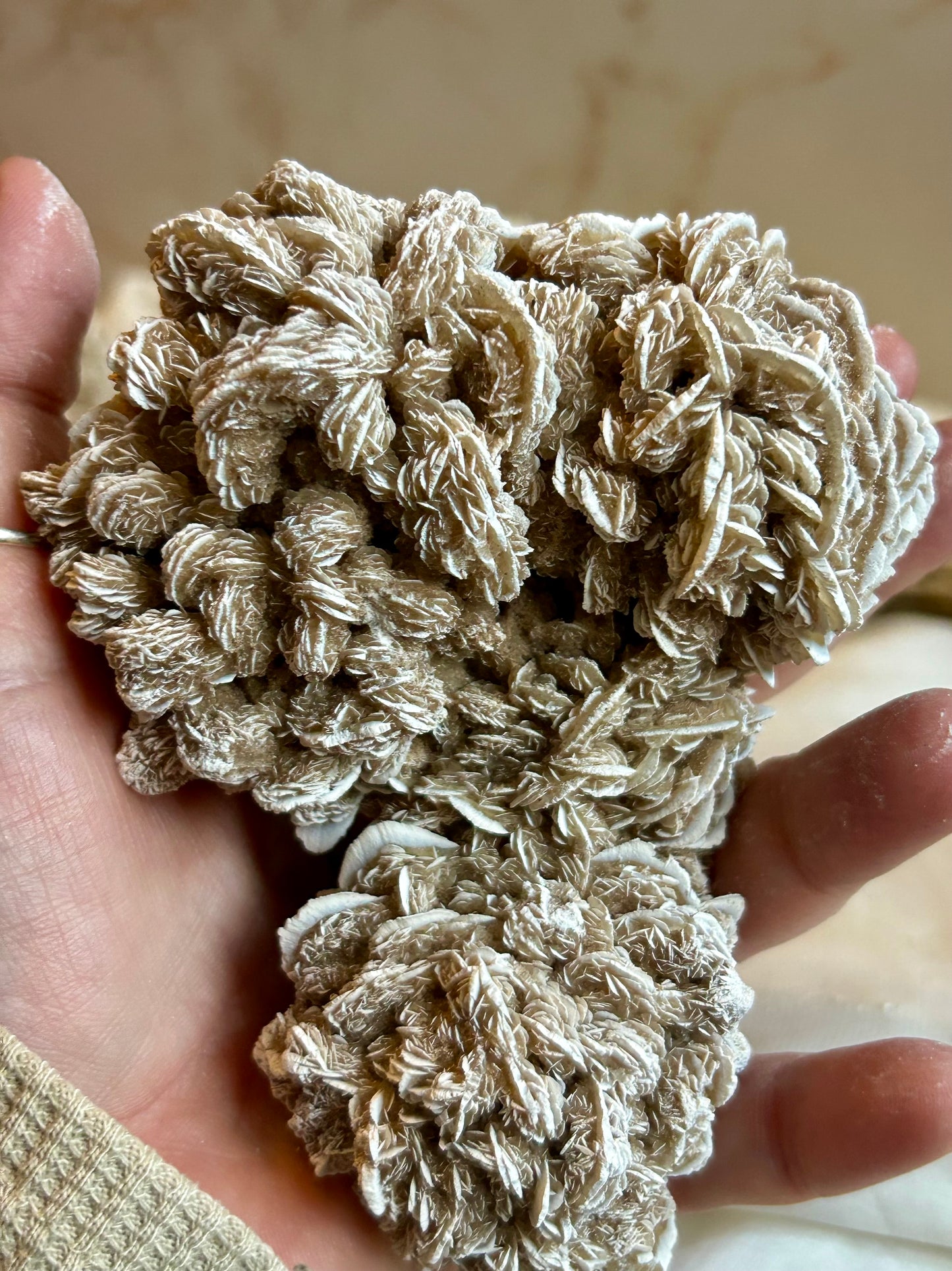 Desert Rose Crystal (Gypsum Rosette) – Natural Grounding & Clarity Stone