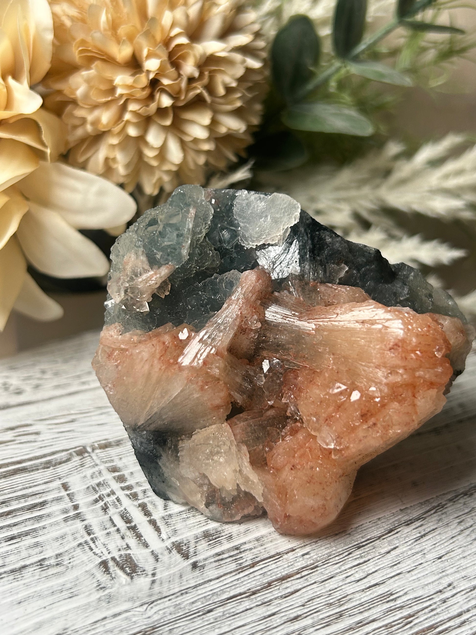 Stilbite on chalcedony cluster with peach fan-shaped crystals on blue grey matrix natural mineral specimen