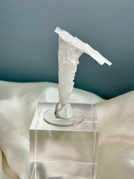 Natural scolecite spray cluster with golden calcite nodules from Maharashtra, featuring delicate radiating crystal blades