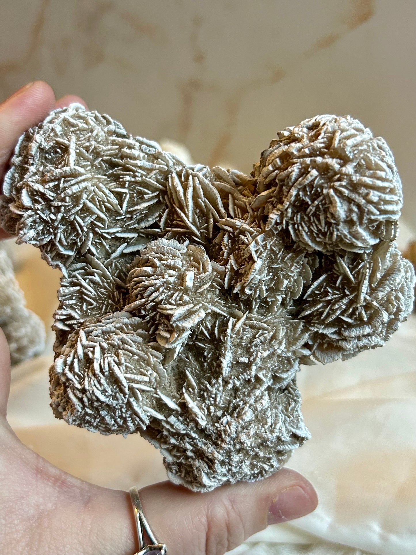 Desert Rose Crystal (Gypsum Rosette) – Natural Grounding & Clarity Stone