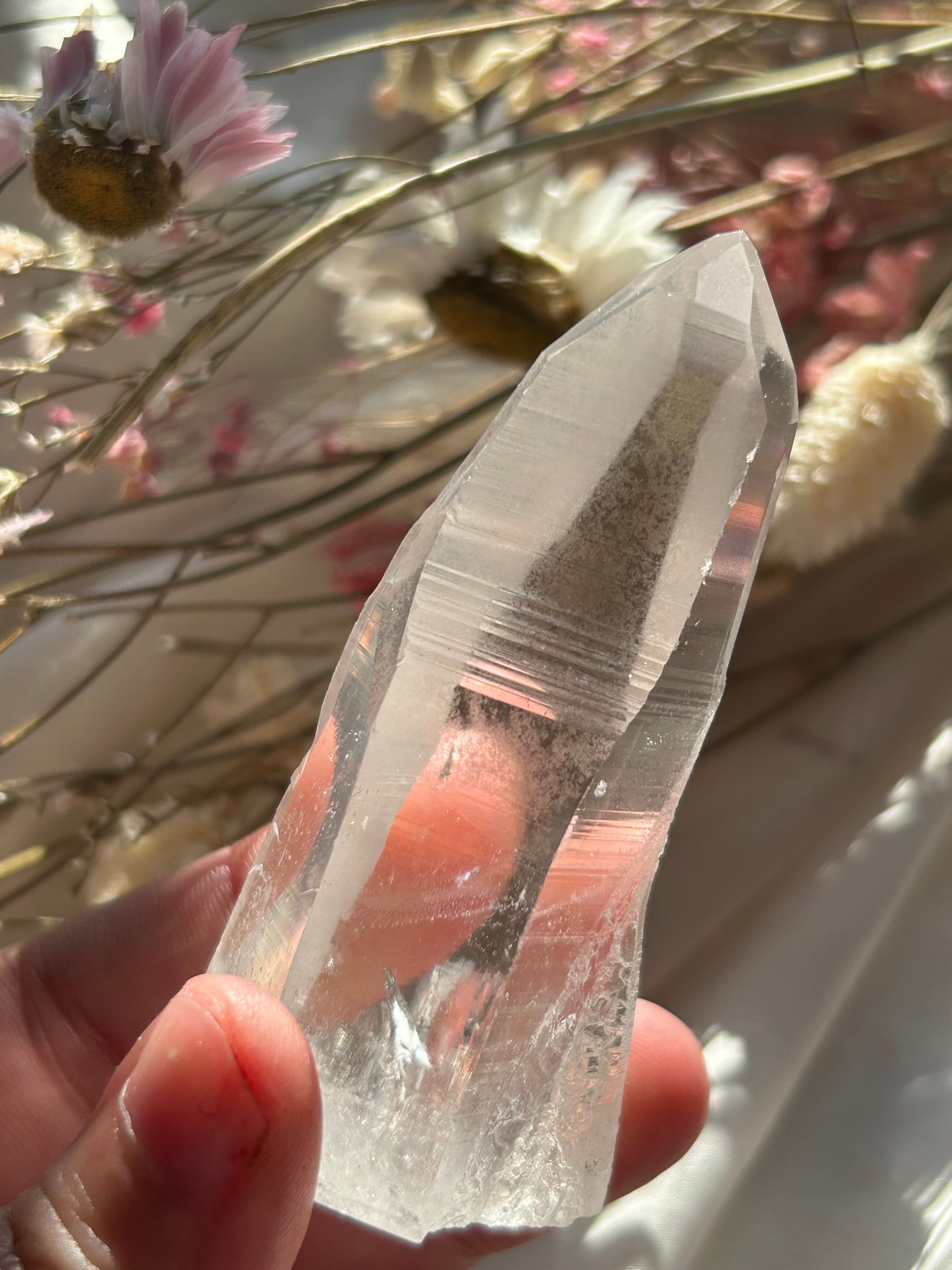 Semi Polished Lemurian