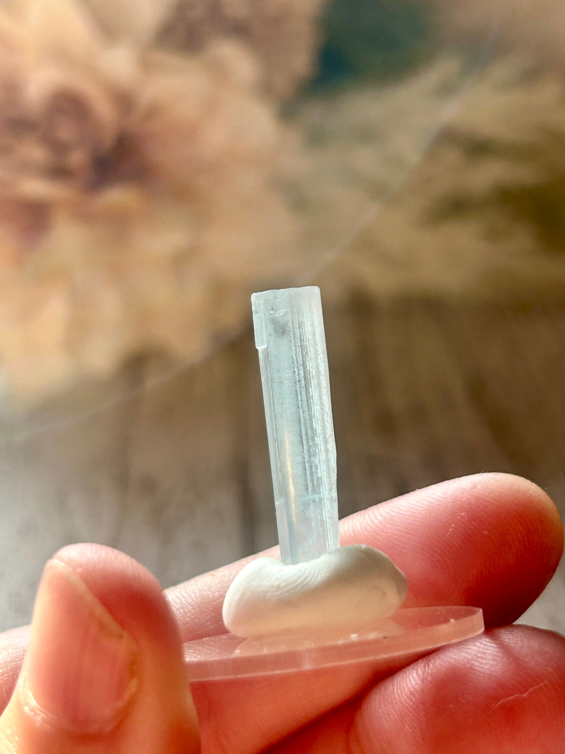 A close-up of a hand holding a small clear crystal point on a translucent display base, with a softly blurred natural background.