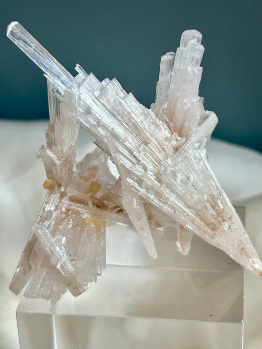 Natural scolecite spray cluster with golden calcite nodules from Maharashtra, featuring delicate radiating crystal blades