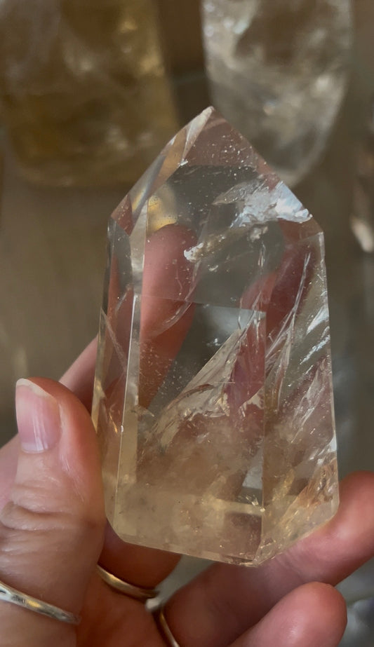 Listing for faunaraven