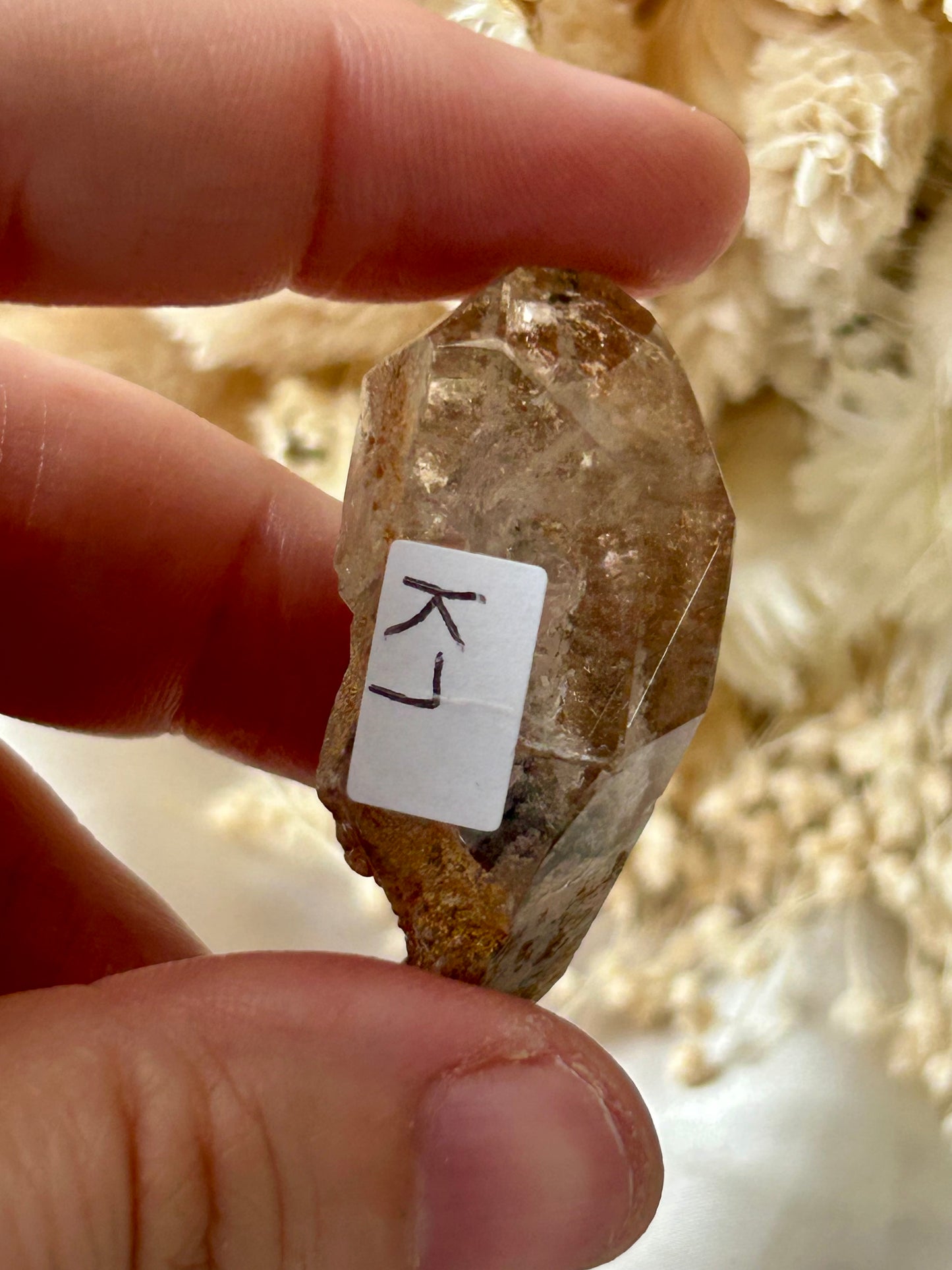 Lodolite Garden Quartz Freeform | Earth-Inspired Clarity and Inner Vision