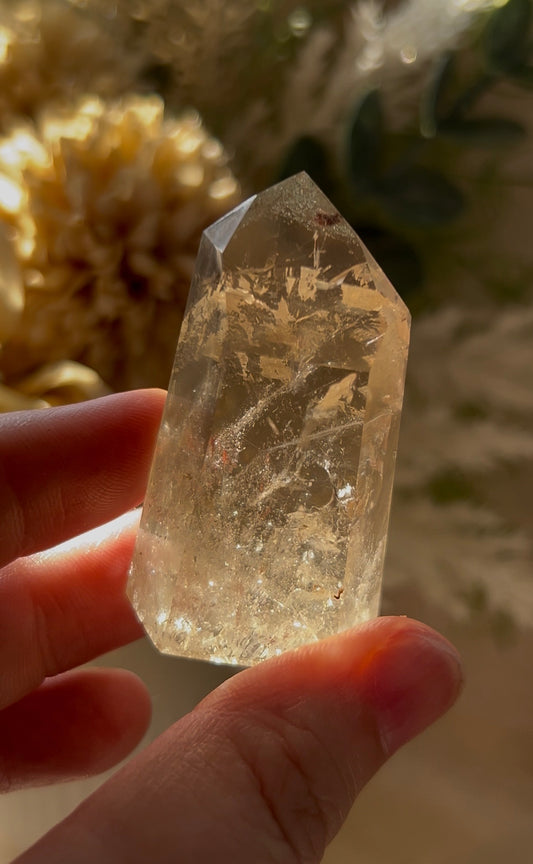 Listing for thecrystaldenofbeauty