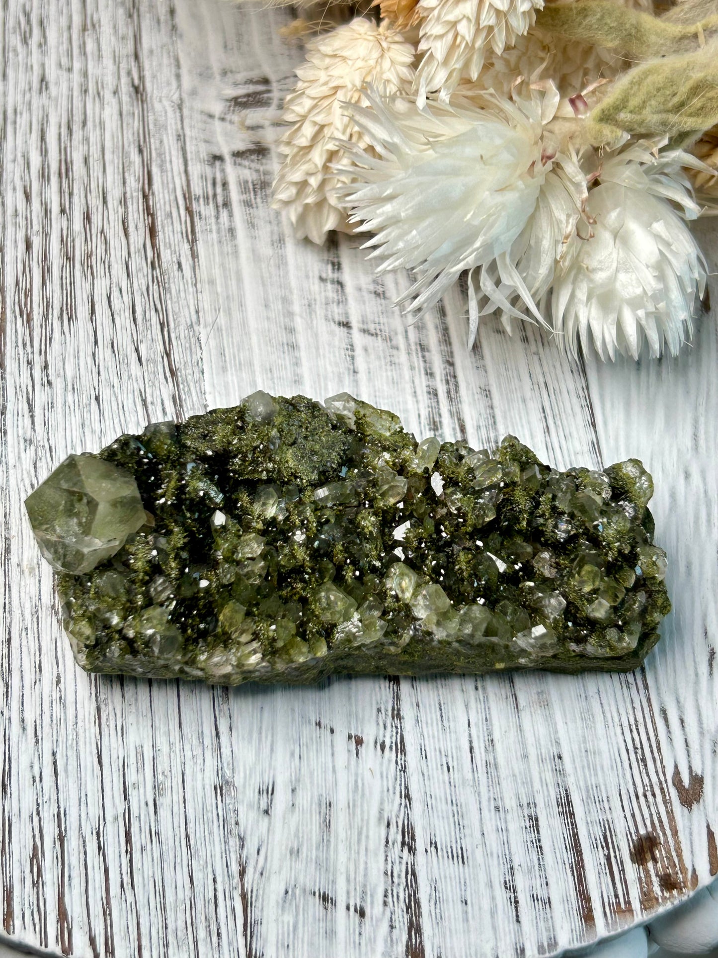 Clear quartz crystal with deep green epidote inclusions, polished freeform displayed on a distressed white wooden board with dried cream flowers 