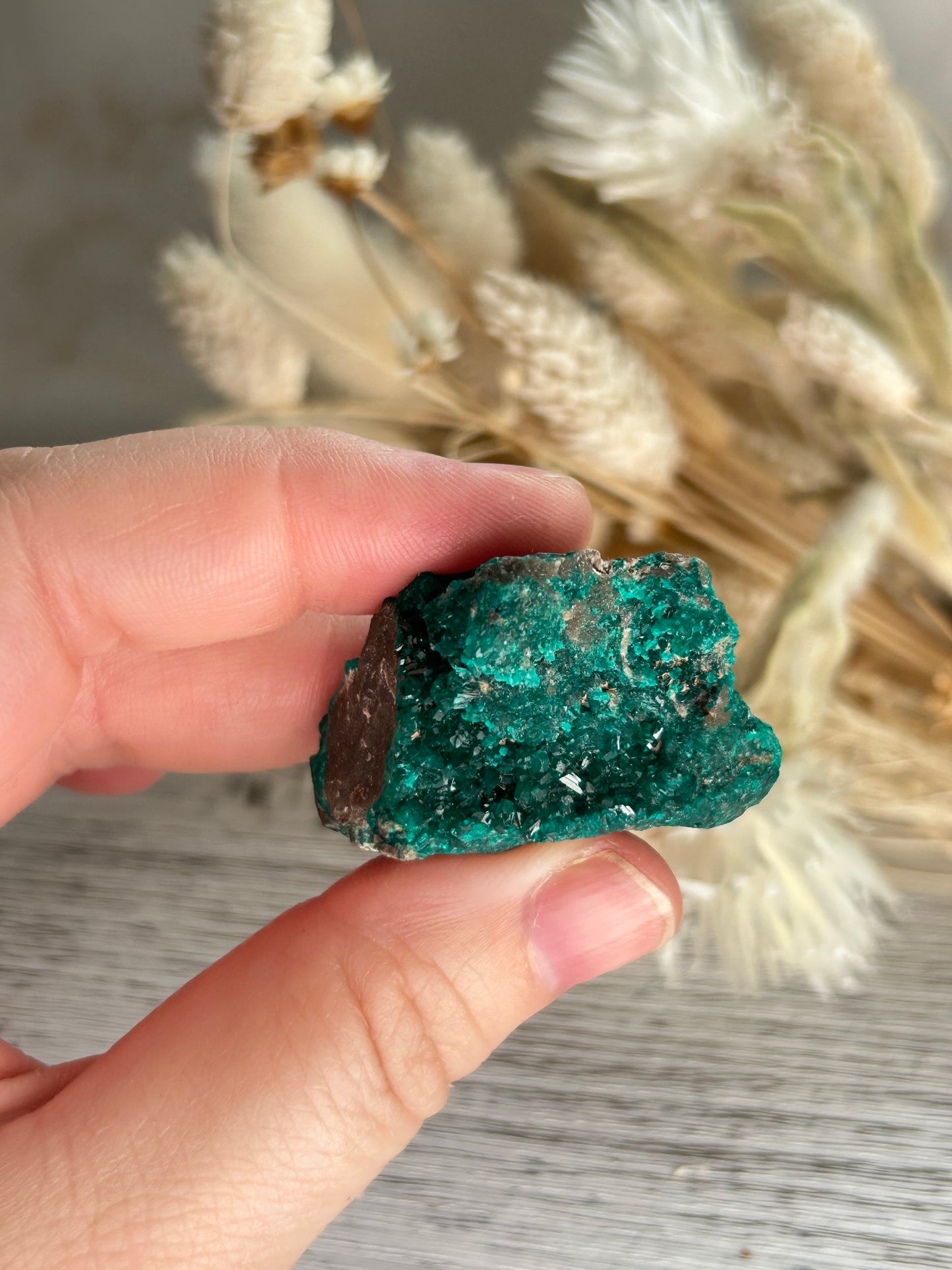 Dioptase Crystal | Rare Emerald Green Healing Stone