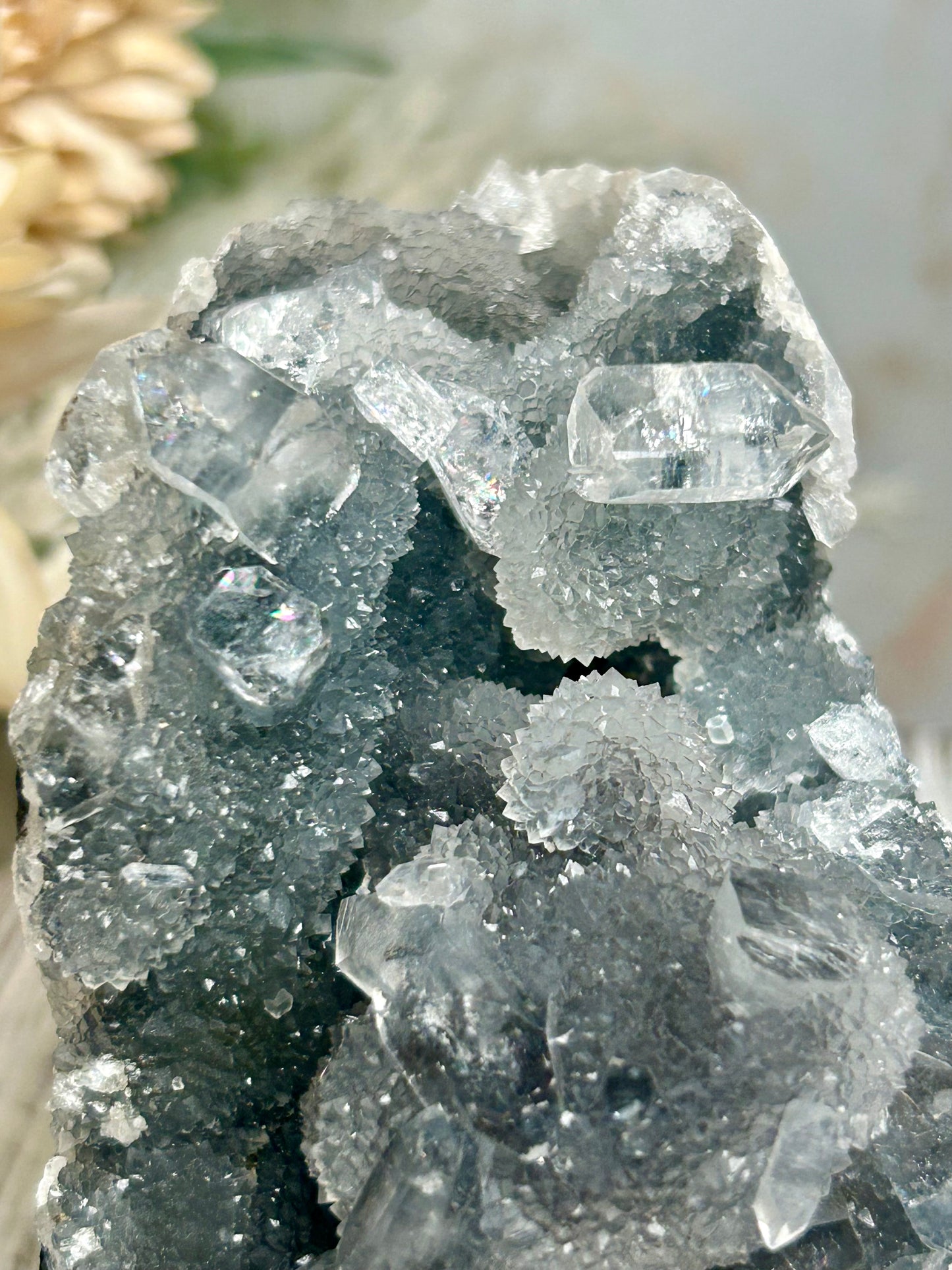 Self-Standing Apophyllite on Shimmering Grey Chalcedony – Natural Crystal Cluster Specimen