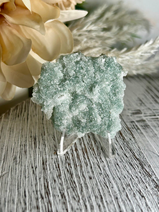 Natural Green Apophyllite crust crystal cluster with sparkling druzy points on display stand from India