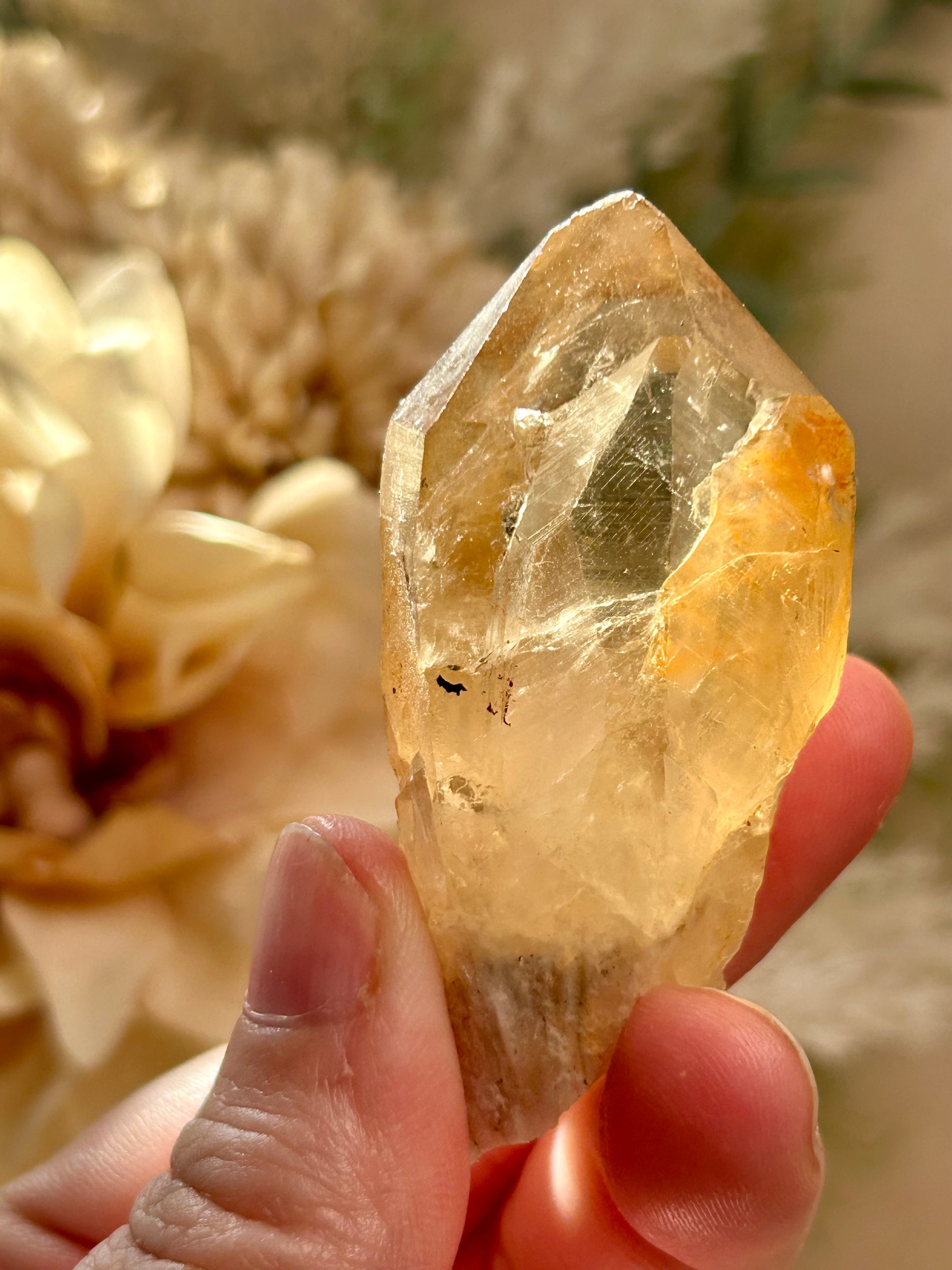 Kundalini Citrine crystal from the Democratic Republic of Congo displaying golden honey tones and unique crystal formations. Individual Citrine specimen suitable for crystal collectors and enthusiasts.