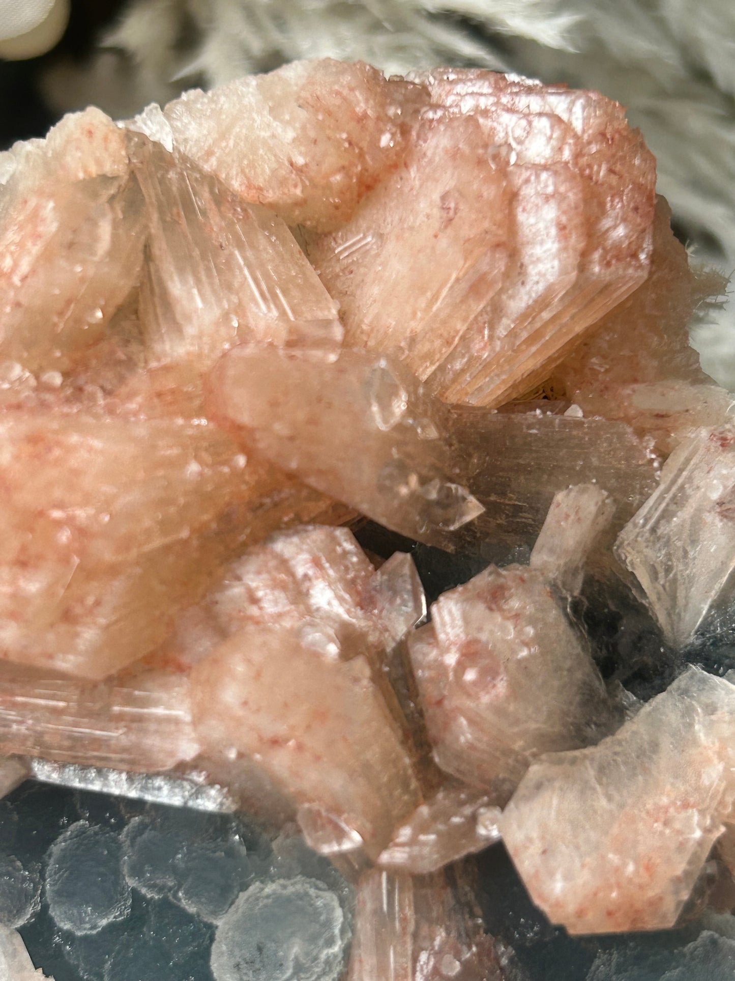 Stilbite on Chalcedony Cluster – Soft Peach Sheaves on Blue-Grey Matrix