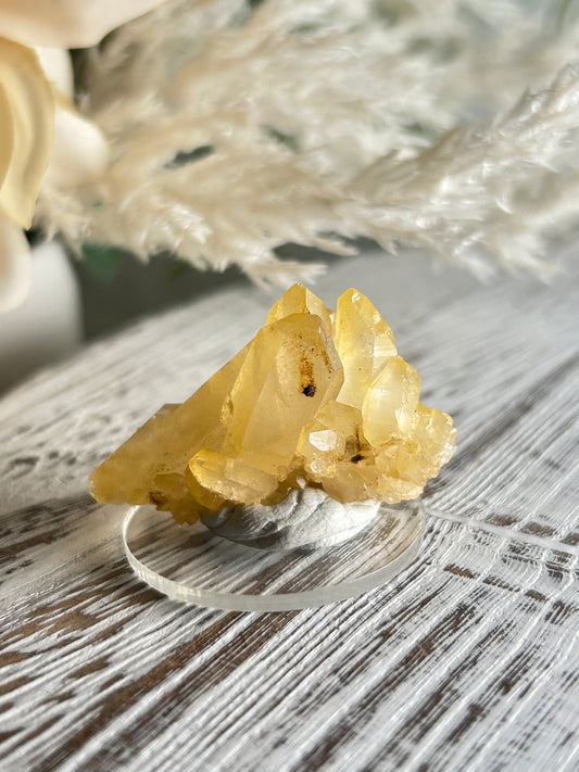 Mini Swiss Quartz crystal point with soft champagne clarity, natural termination and self-healed base, displayed on glass stand with neutral dried florals background.