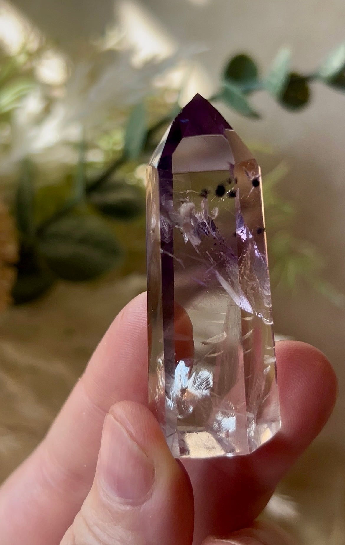 Listing for laudysland