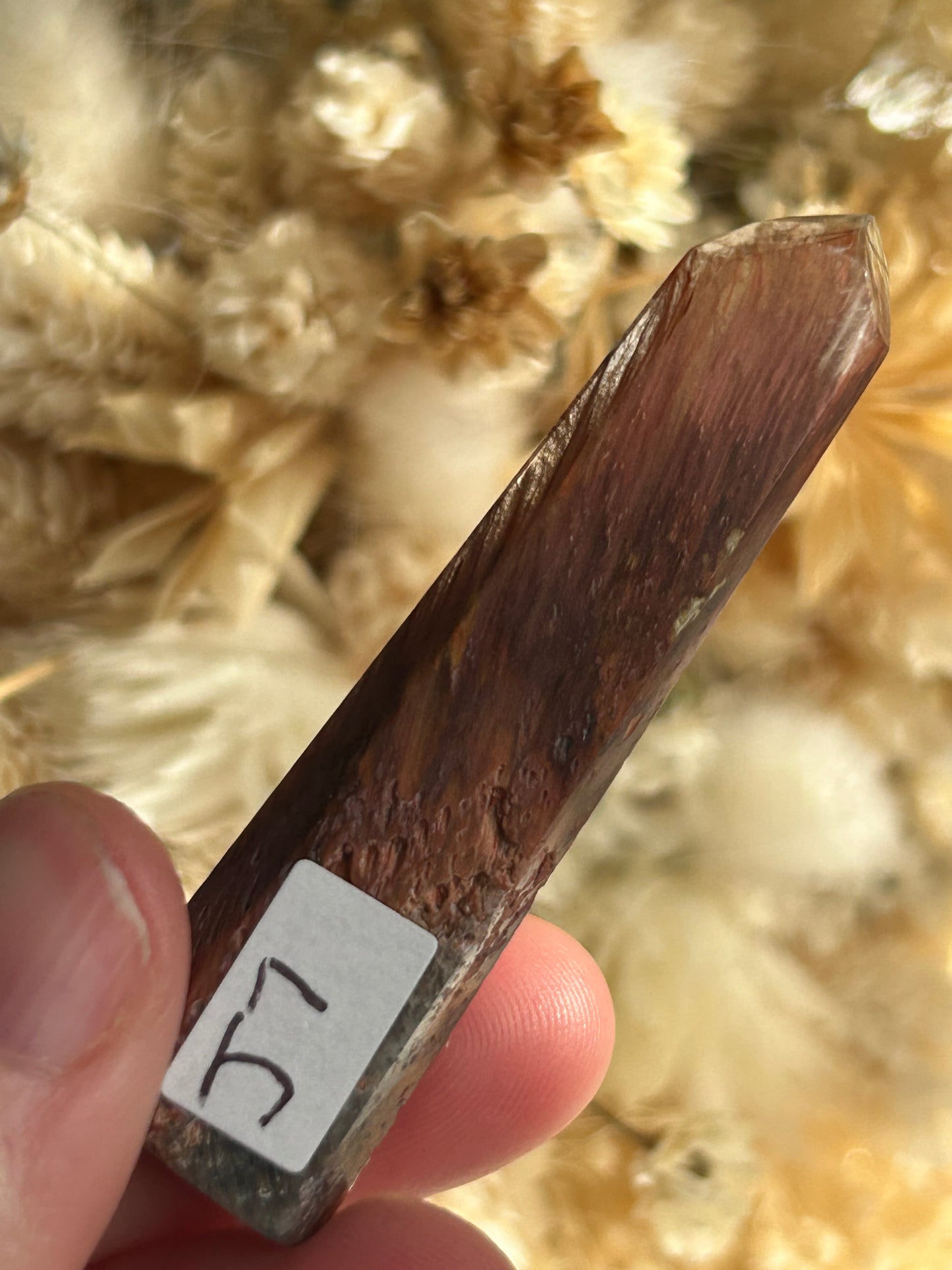 Amphibole