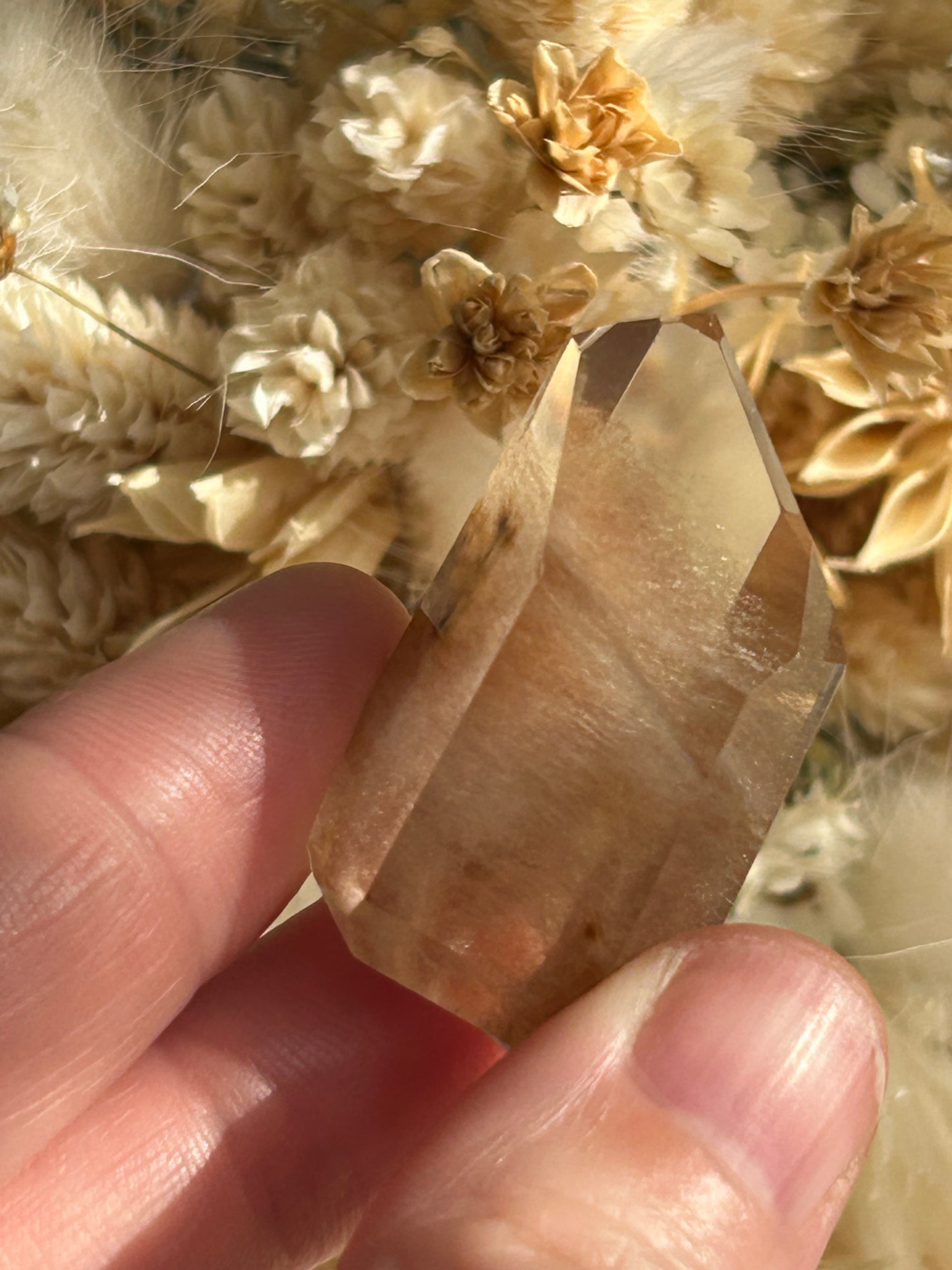 Amphibole