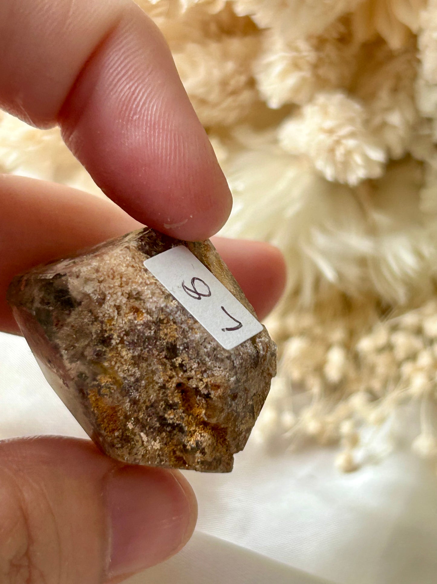 Lodolite Garden Quartz Freeform | Earth-Inspired Clarity and Inner Vision